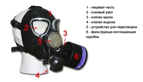 5 лицевой