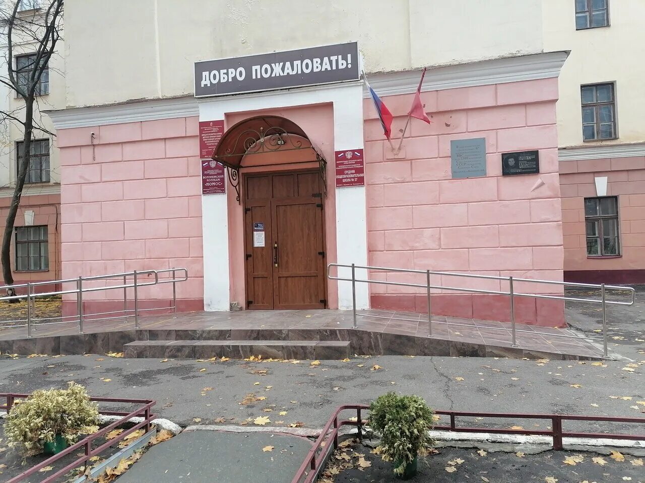 номос воронежский колледж. самая престижная школа воронежа. воронеж улица пятницкого 67 номос. школа 35 воронеж. школа номер 37 воронеж.