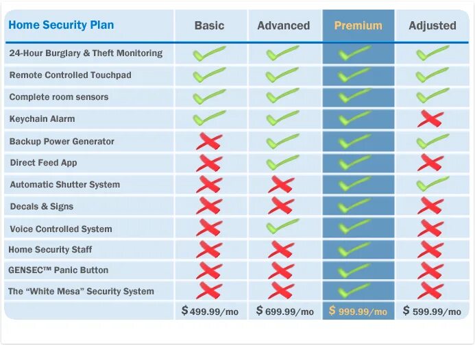 Security plan. Security Corp. Corporate Security. Звания в private Security Company. Уровни подписки Basic Advanced Premium.