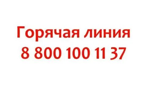 8 800 100 10 11