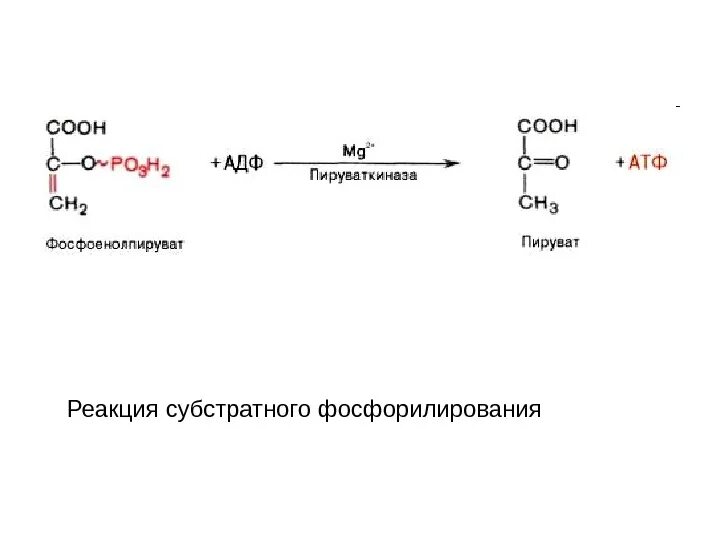 1 Реакция субстратного фосфорилирования гликолиз. Субстратное фосфорилирование в гликолизе. Пути синтеза АТФ субстратное фосфорилирование. Реакции субстратного фосфорилирования в гликолизе. Окислительное фосфорилирование этап гликолиза