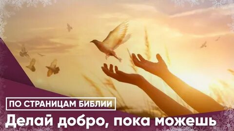Добро пока