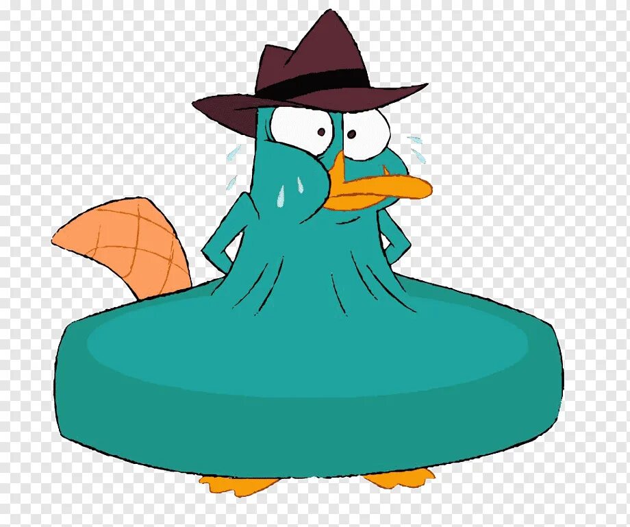 Perry the platypus