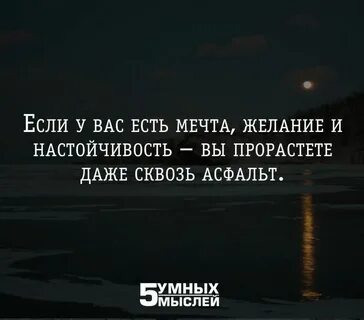 Умные высказывания на все случаи жизни