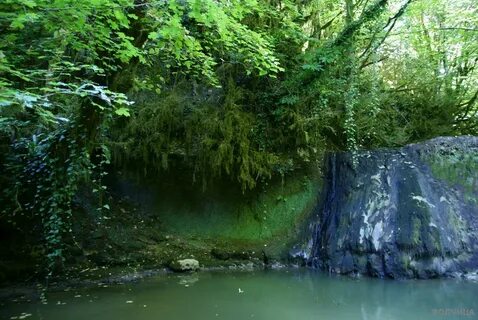 Село приморское абхазия