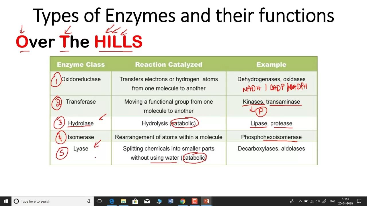 Classes of Enzymes. 7 Classes of Enzymes. Enzyme Biochemistry. Ire Enzymes.