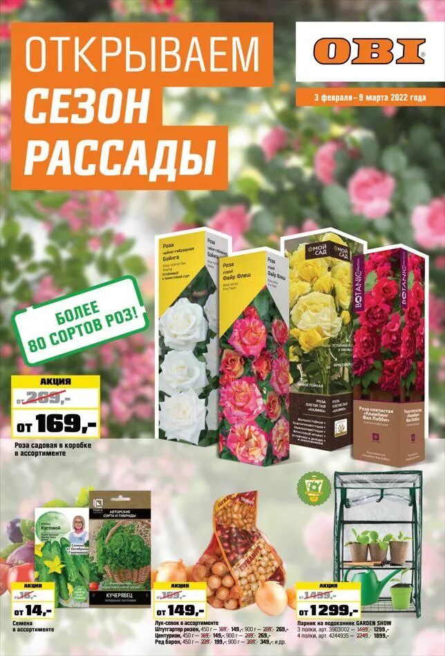 Бальзамин уоллера в горшке. Всходы бальзамина уоллера. Оби растения для сада. Оби белая дача. Цветочная рассада в оби спб.