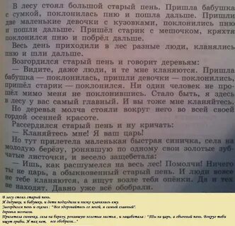 В лесу стоял старый