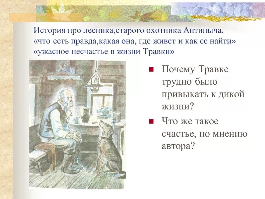 История не есть правда. История про лесника Антипыча. Правда Антипыча кладовая солнца. В чем правда Антипыча. Внешность Антипыча.