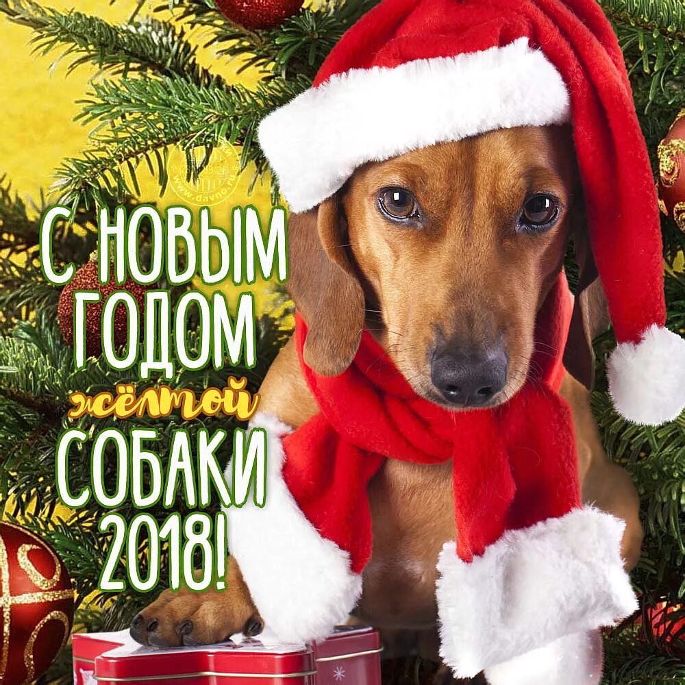 2018 год картинка. S novim godom 2018. 2018 год. С новым 2018. Картинки новогодние на 2018 год.