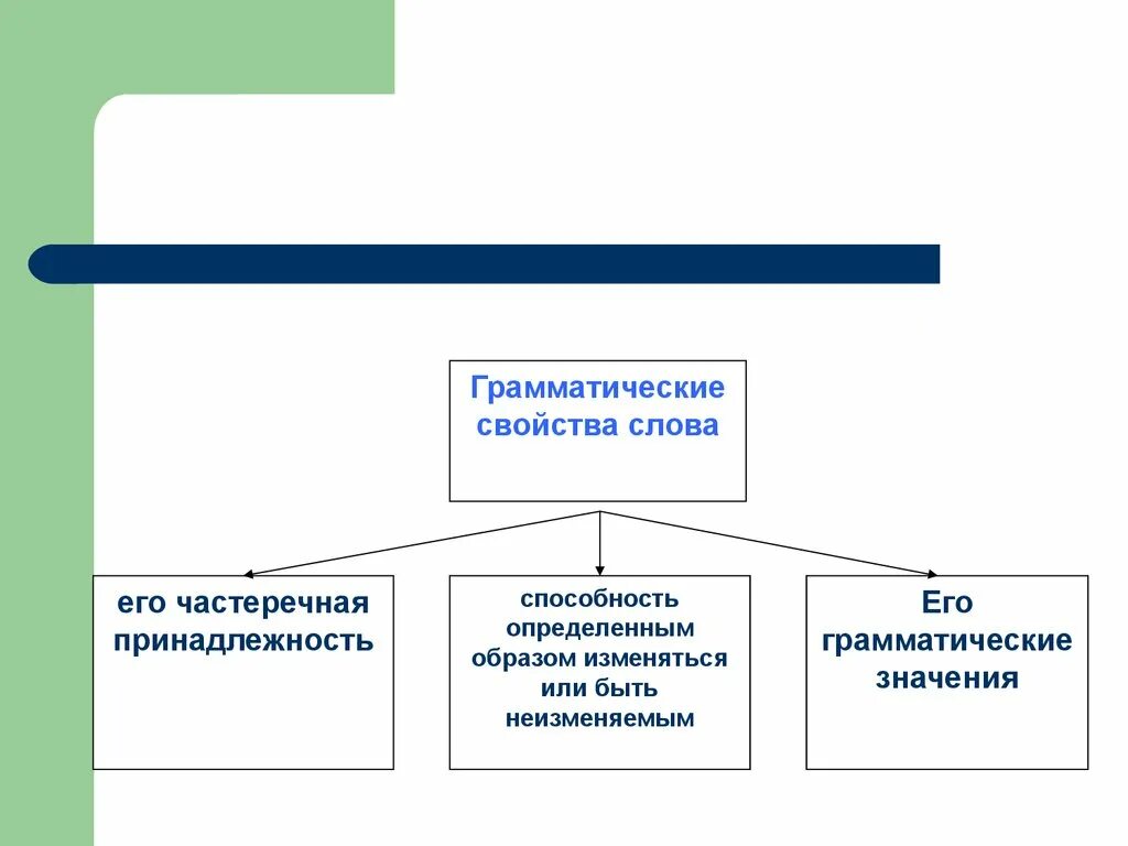 Свойства слова. Грамматические свойства. Свойства слова схема. Что такое грамматическая характеристика. Назовите свойства слова