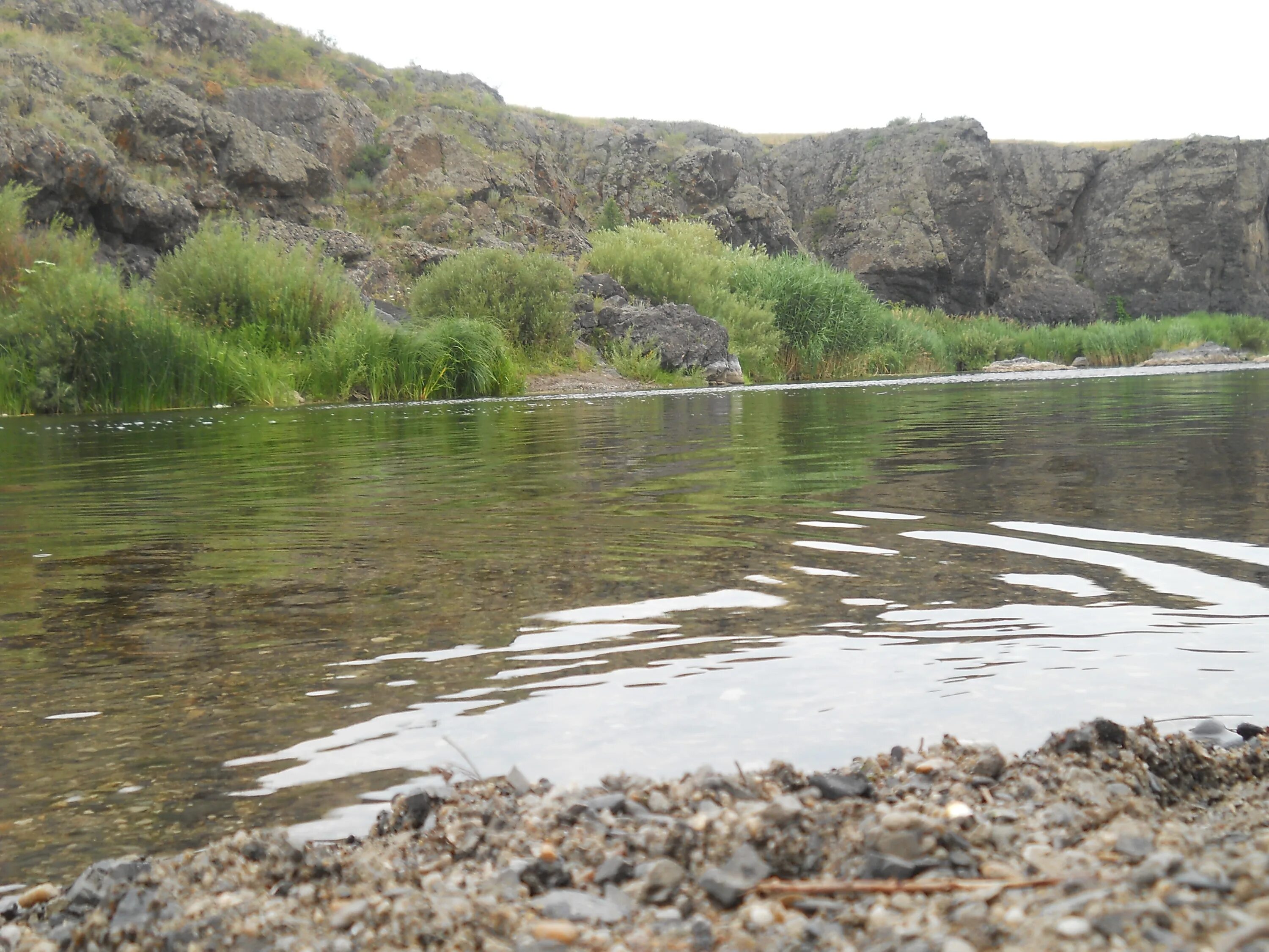 Долгобродское водохранилище челябинская область. Рыбалка в троицке челябинской. Рыбалка в троицке челябинской. Вобла и густера. Рыбалка в троицке челябинской.