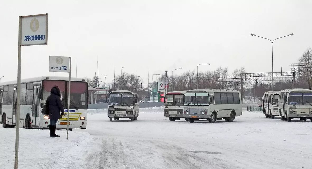 расписание автобусов г. городок киселевск автобусы. городок киселевск автобусы. нефаз 5299. автобус кавз 4238.