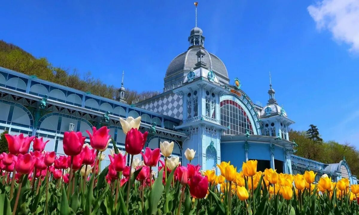 Железноводск сочи. Пушкинская галерея Железноводск. Бухарский дворец Железноводск. Весенний Железноводск.