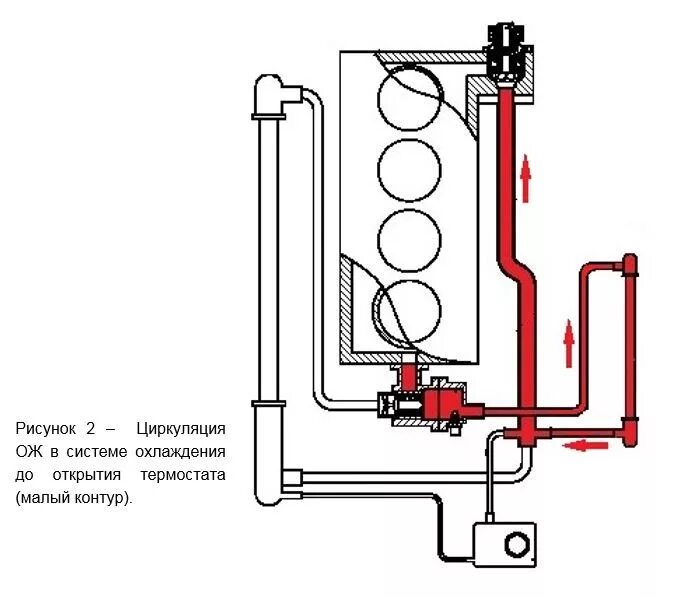 Как работает термостат на гранте