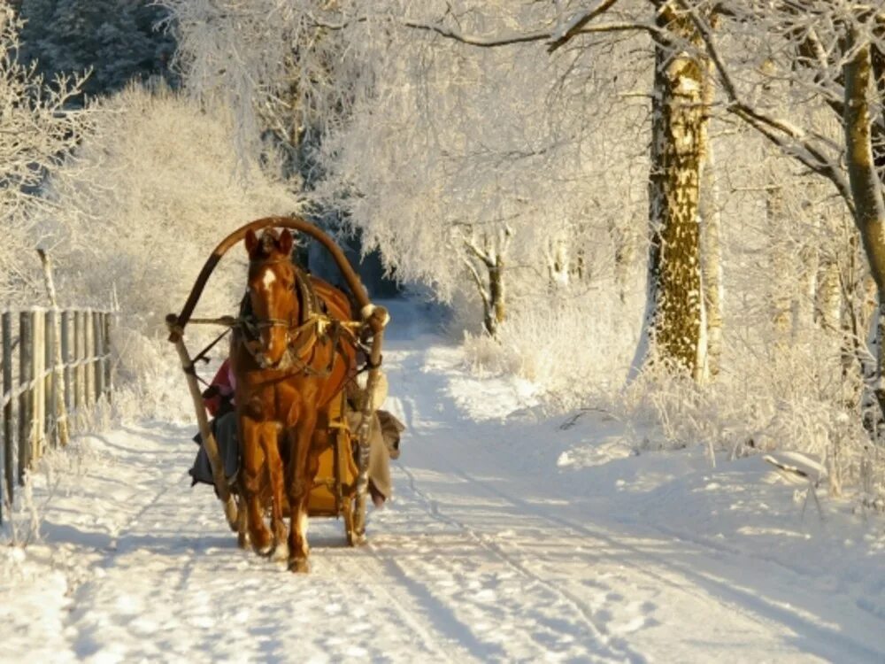 лошадь запряженная в сани. пушкин скользя по утреннему снегу. приятно думать у лежанки. упряжка с санями. не велеть ли в санки.
