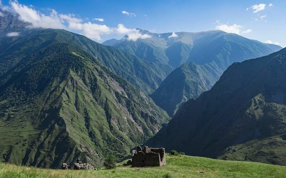 Горная чечня фото
