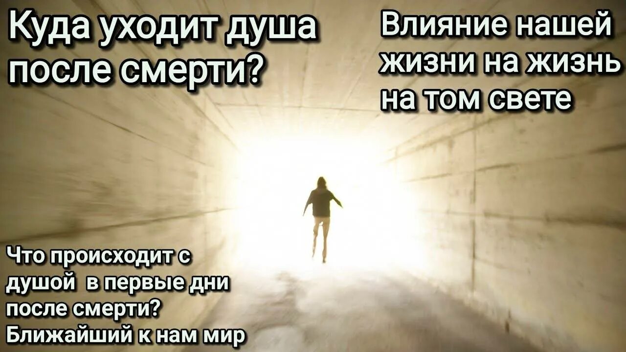 Куда уходит душа после смерти. Куда попадает душа после смерти. Жизнь души после смерти. Куда отправляется душа после смерти человека