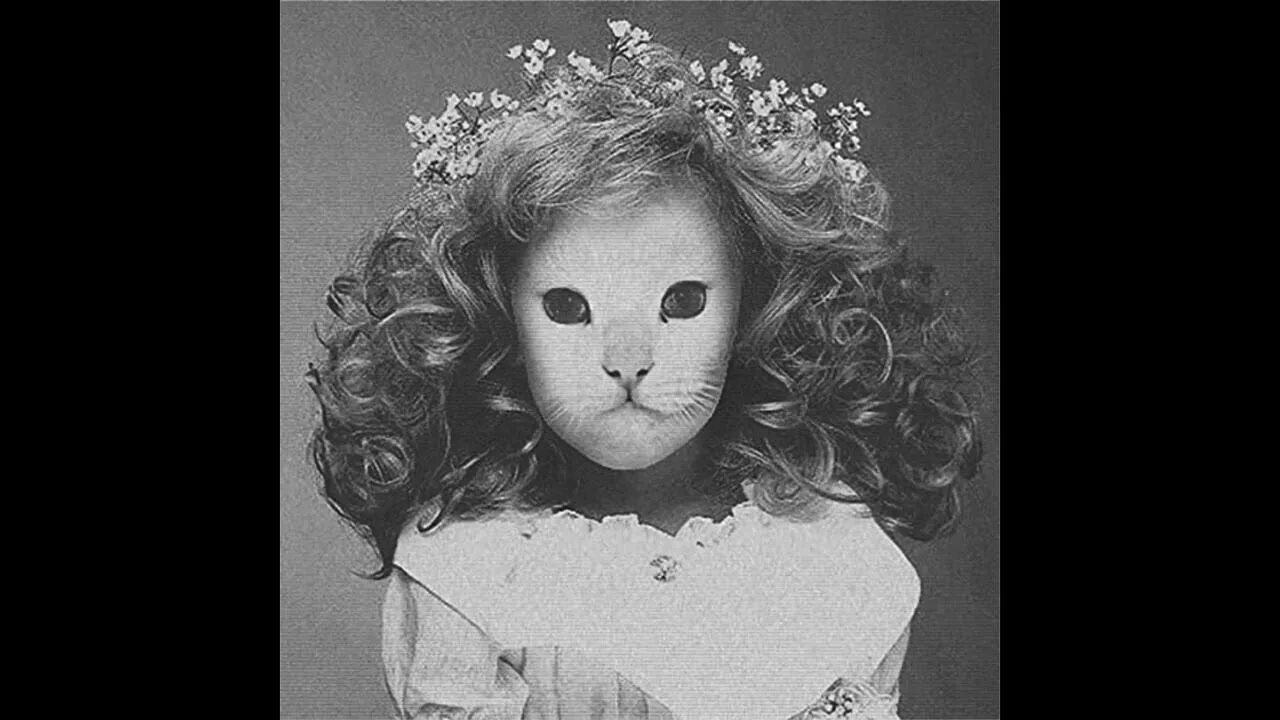 Mr kitty 44 days. Mr kitty. Mr kitty обои. Mr kitty mother mary перевод. Mr kitty mother mary перевод.