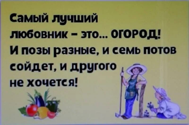 Работать до седьмого пота значение. Высказывания про огород. Стихи про огород прикольные. Приколы про огород. Самый лучший мужчина это огород.