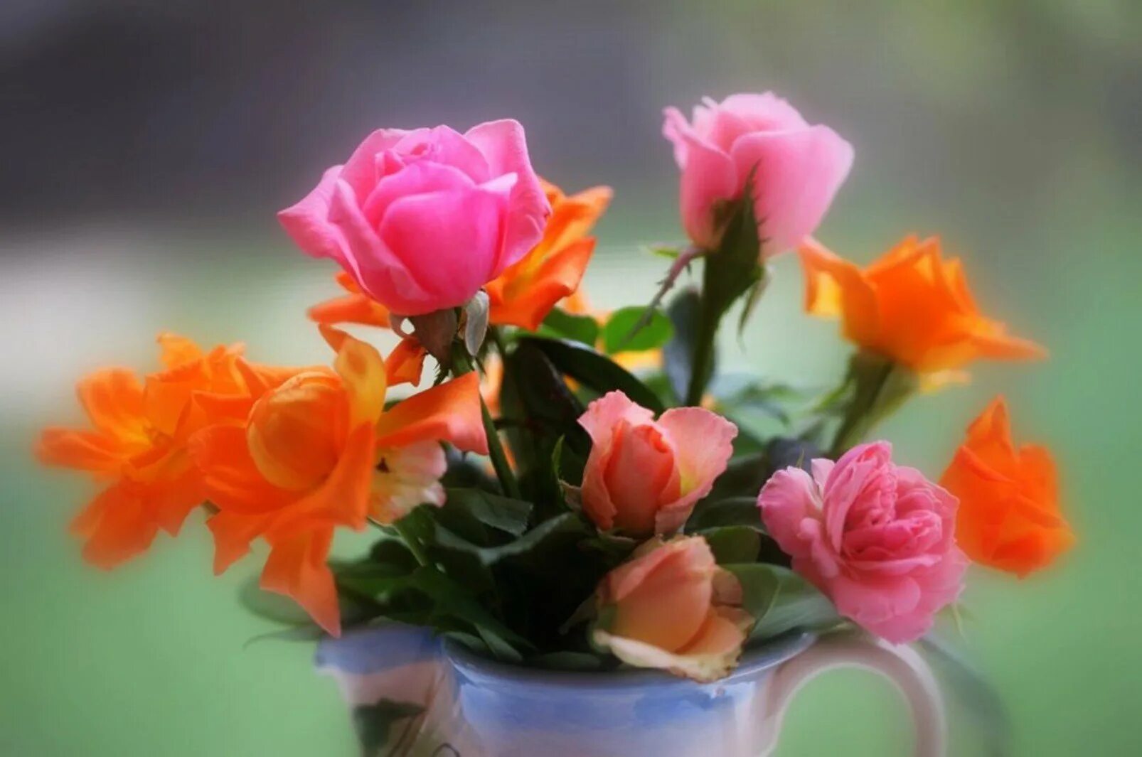Фон хорошего дня. Красивые цветы. Очень красивые цветы. Хорошего настроения и удачного дня цветы. Чудесные цветы.