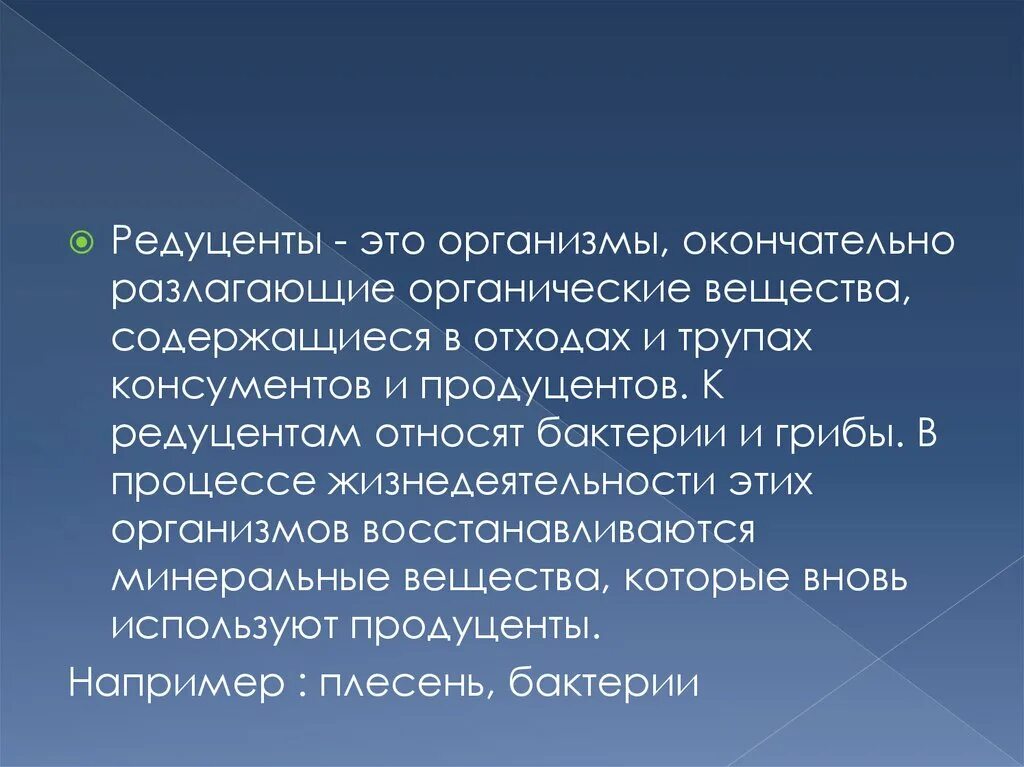 Организмы редуценты. Рацуденты это организмы. Роль редуцентов в экосистеме. Редуценты функции.