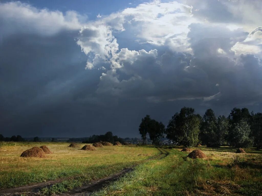 Поле перед грозой. Природа перед грозой. Пейзаж перед дождем. Деревня лето гроза.