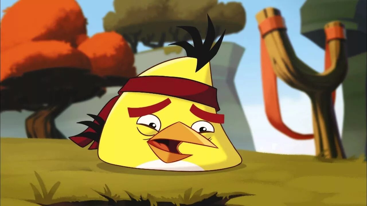 Angry birds toons episode. Angry Birds toons Чак. Angry Birds toons Episode 51. Angry Birds toons Птичья стая.