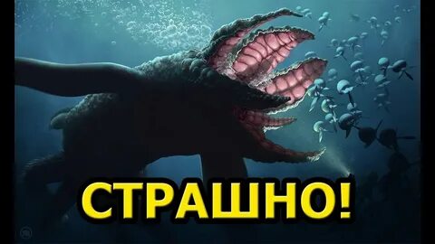 Все твари океана