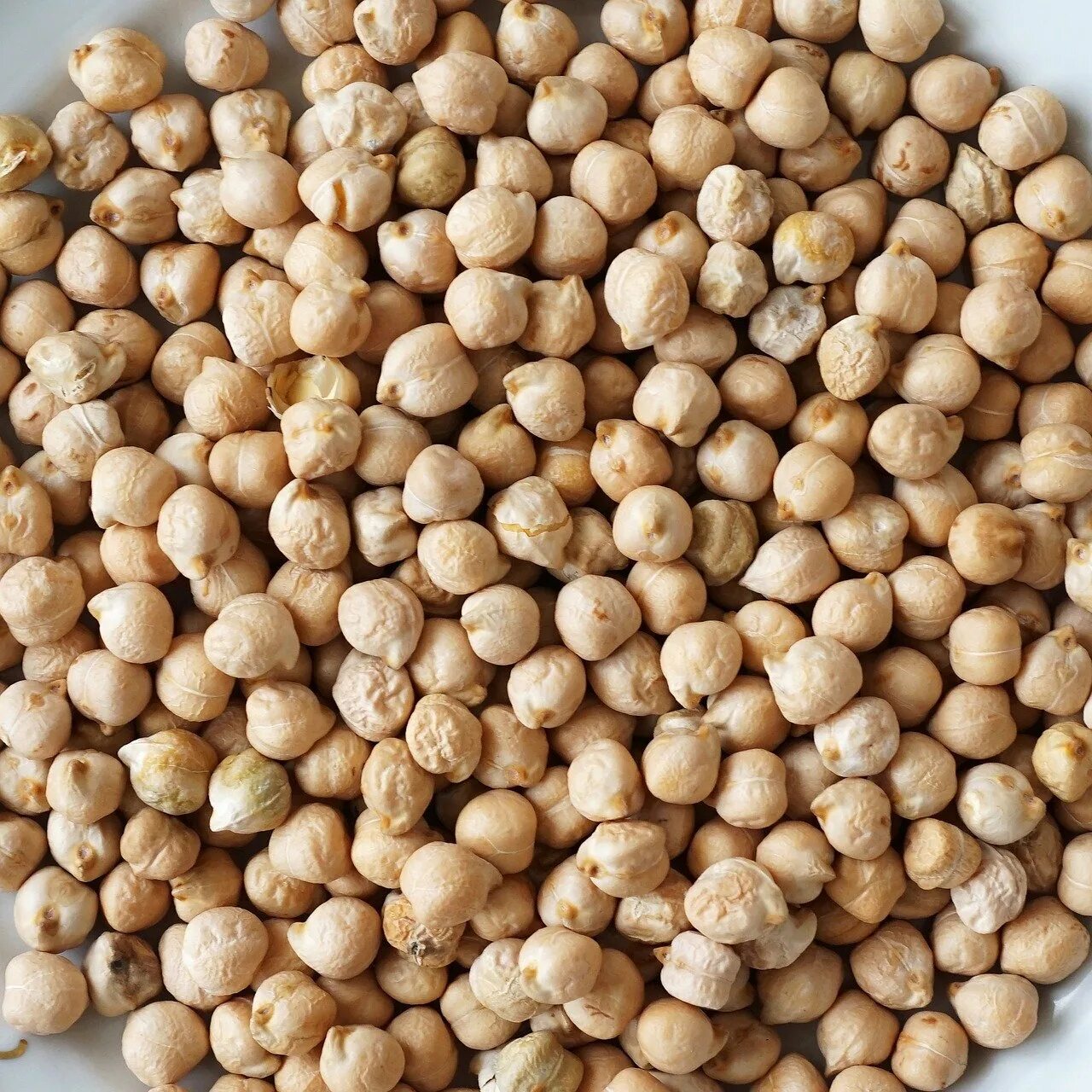 Нут перед. Нут (турецкий горох). chickpea - нут, турецкий горох. нут кабули. нут крупа.
