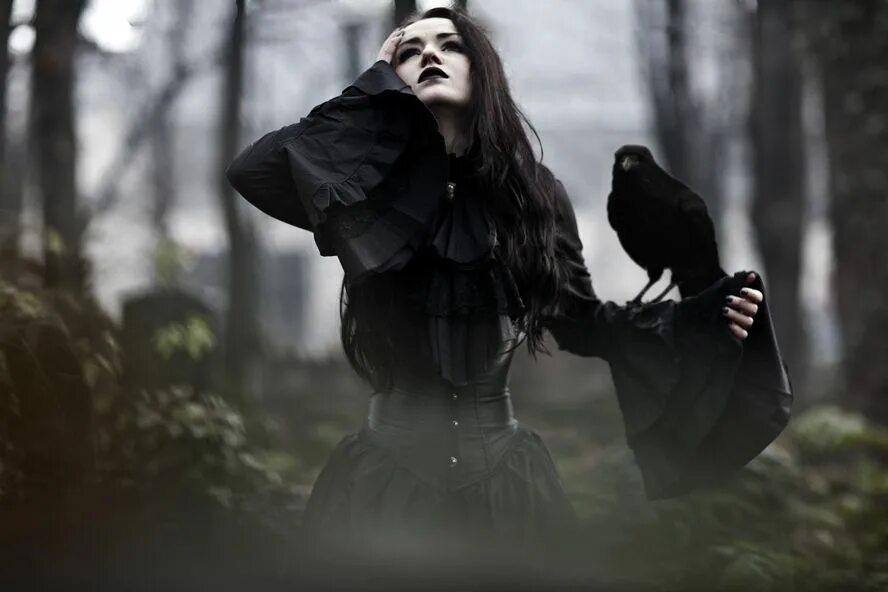 Прикол с вороной и пальцем и девушкой. Вороний палец. Девушка с вороном. Городские вороны. Ворон умная птица.