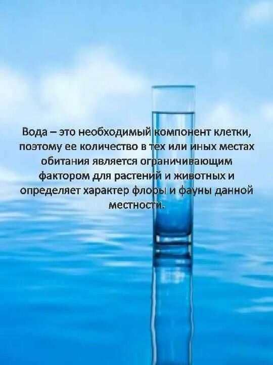 Влияние воды на живые организмы. Влияние воды на животных. Влияние воды на живые организмы сообщение. Как вода влияет на жизнь живых организмов. Вода составляет значительную