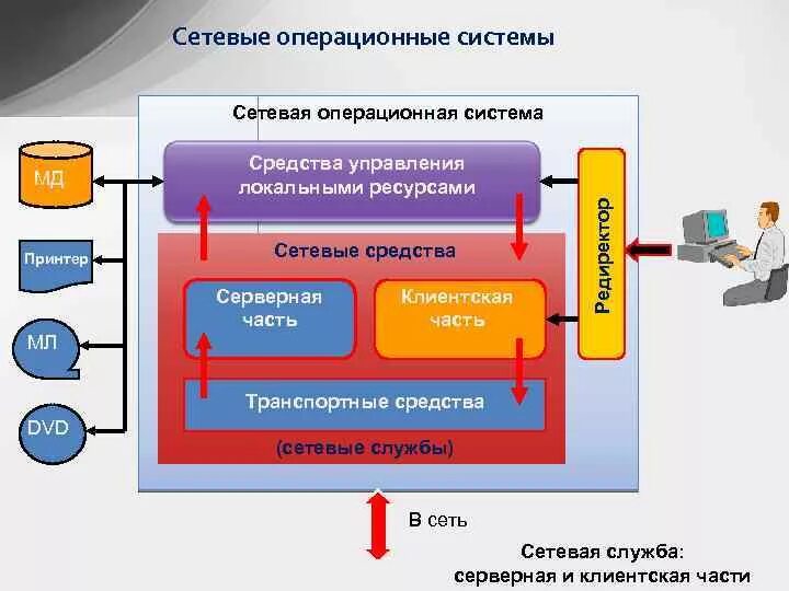 Функции сетевых ОС. Сетевые операционные системы. Сетевые опереционное система. Структура сетевой операционной системы.