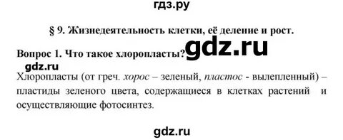 Текст жизнедеятельность клетки вставьте пропущенные слова