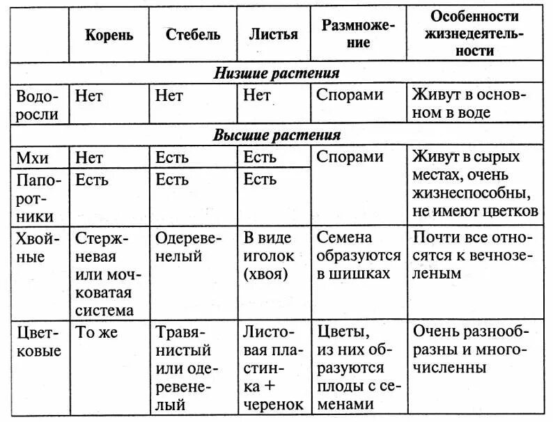 Разнообразие растений таблица. Таблица по окружающему миру 3 класс разнообразие растений. таблица разнообразие растений 3 класс окружающий мир. таблица по заполнению темы разнообразие растений 3 класс. таблица по биологии 9 класс многообразие растений.