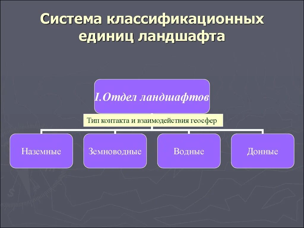 Отделы ландшафтов. Единицы ландшафта. Классификация ландшафтов. Система классификационных единиц.