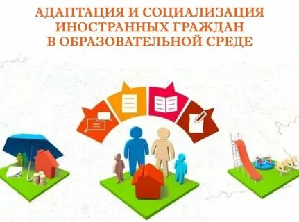Стратегии адаптации мигрантов