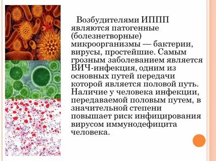 Возбудителем инфекции является