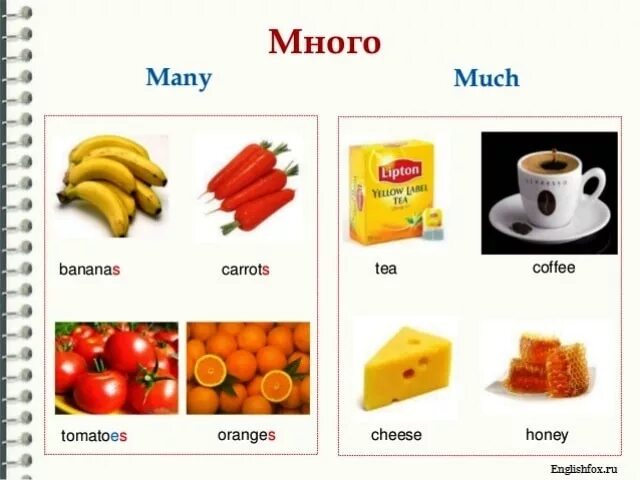 Much many test english. Разница между a lot of и many и much. A lot of many much таблица. Much many правило. Many much разница.