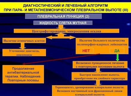 Плеврит патогенез