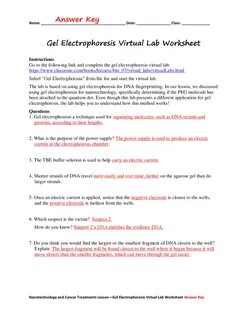 Gel Electrophoresis Virtual Lab Worksheet Answer Key Exercises Genetics Doc...