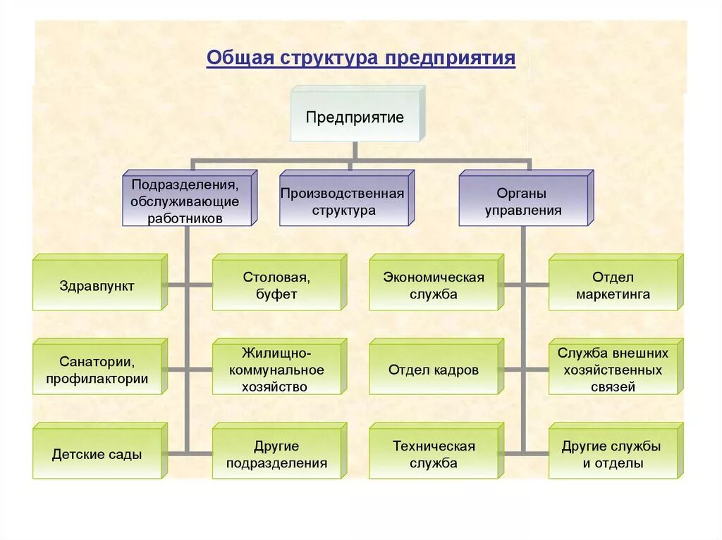 Структура общ