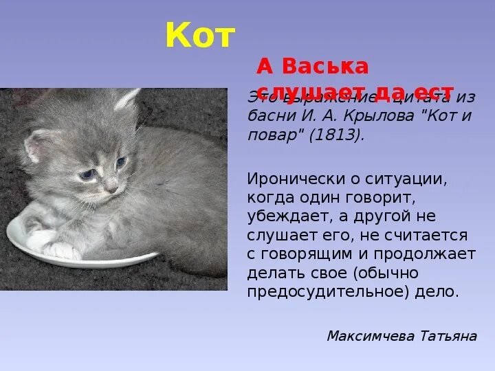 Кот Васька. Русский кот Васька. Рассказ Васька. Простой кот Васька.