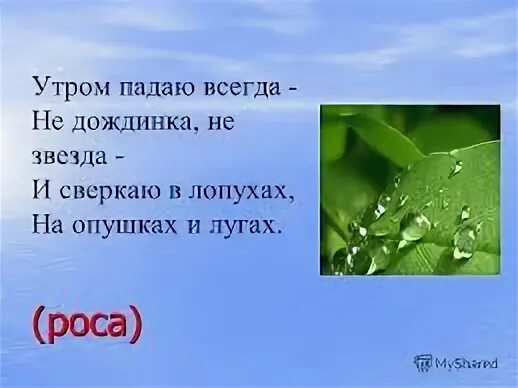 Утром выпадает