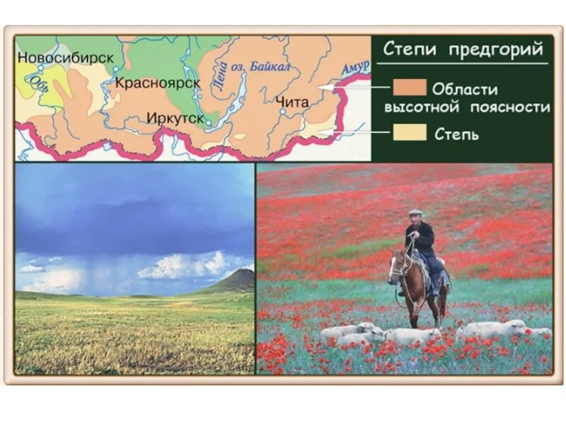 Окружающий мир тест степь. В широкой степи презентация 4 класс перспектива. В широкой степи окружающий мир.