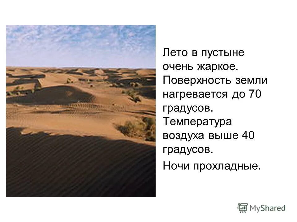 температура воздуха в пустыне летом. пустыня на берегу каспийского моря. зона пустыни климат. температура воздуха в пустыне летом. температура воздуха в пустыне летом.