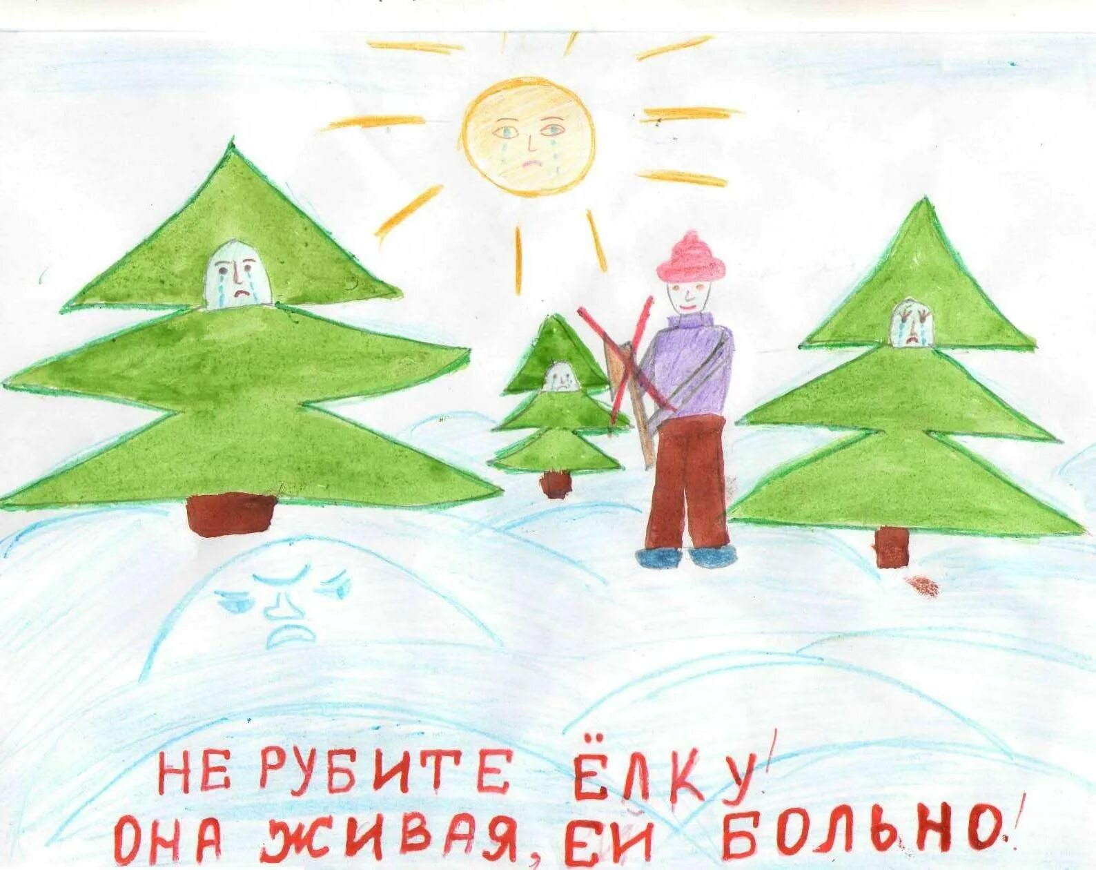 Берегите ели рисунки