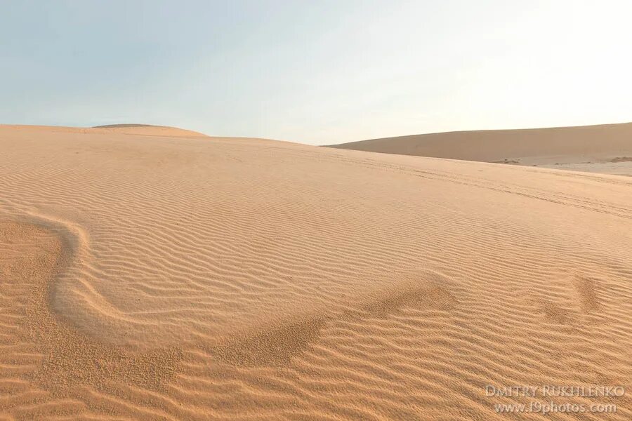 Песчаные дюны тукуланы якутия. Дюны тукуланы — пески в якутии. Песчаные дюны на дальнем востоке. Большой бархан туркмения. Якутия пустыня тукуланы.