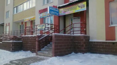 Город цветов ульяновск новый город