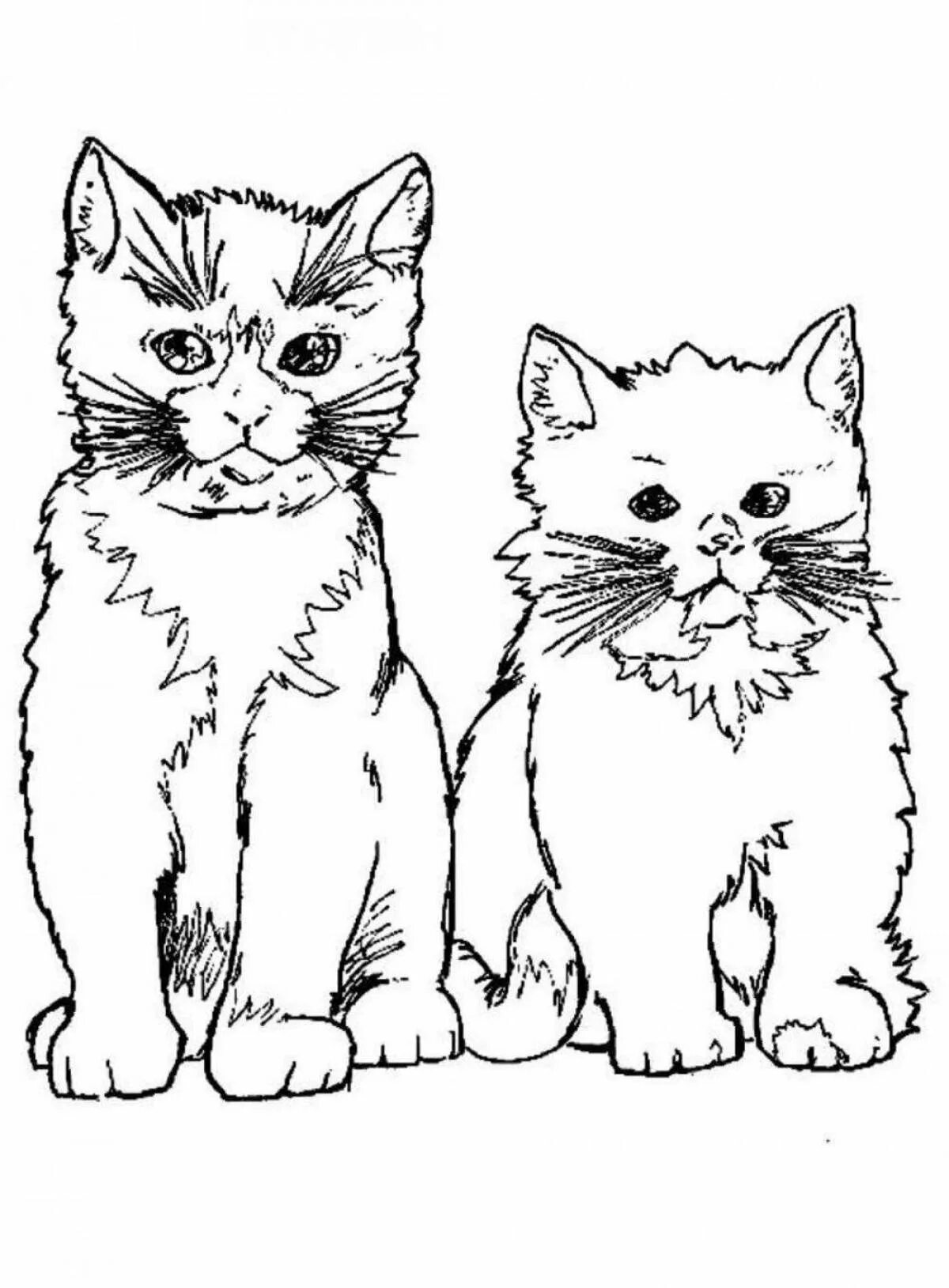 Как раскрасить кошку